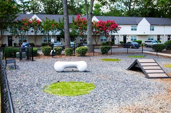 Pet playground